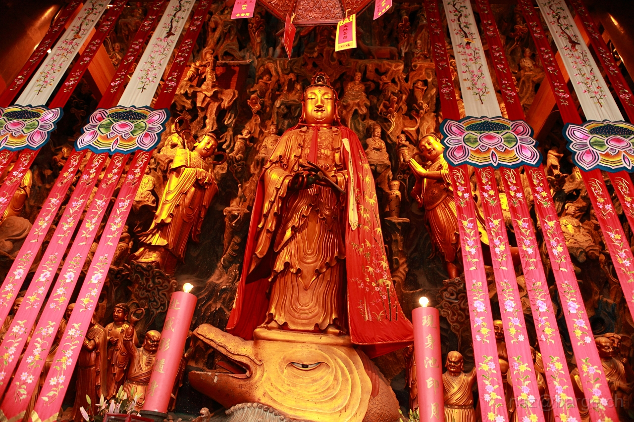 EOS 5D Mark II16_04_20134913.JPG